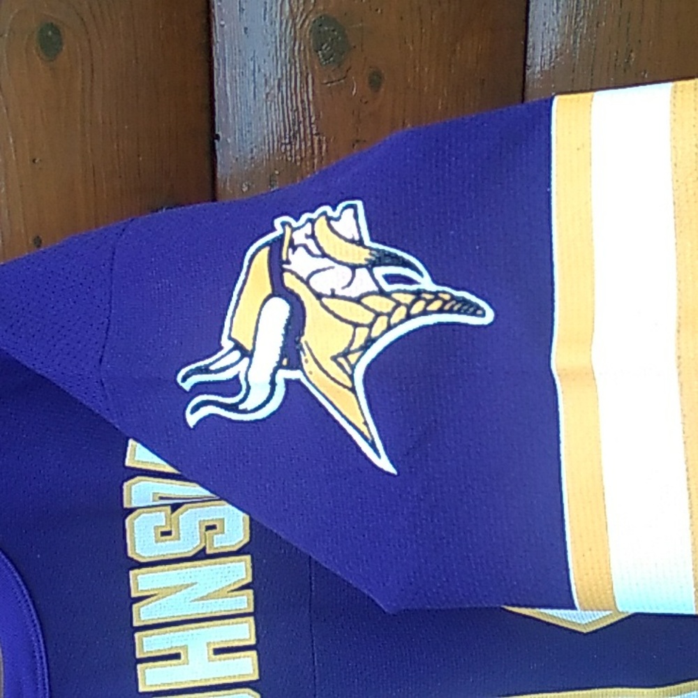 🏈 Vikings JERSEY  #14 Brad Johnson Vintage FootBall Sz Large Minnesota EPLVC - Picture 3 of 15